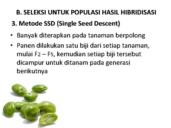 B. SELEKSI UNTUK POPULASI HASIL HIBRIDISASI 3. Metode SSD (Single Seed Descent) • Banyak