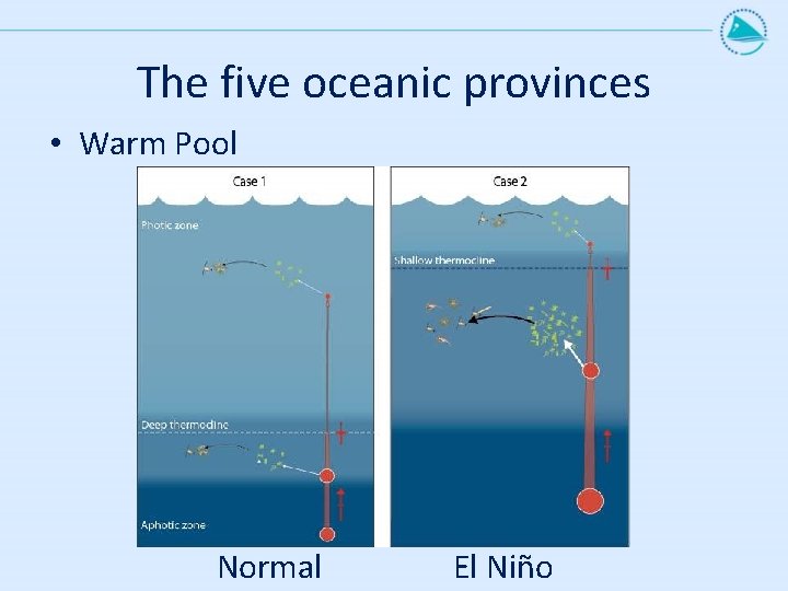 The five oceanic provinces • Warm Pool Normal El Niño 