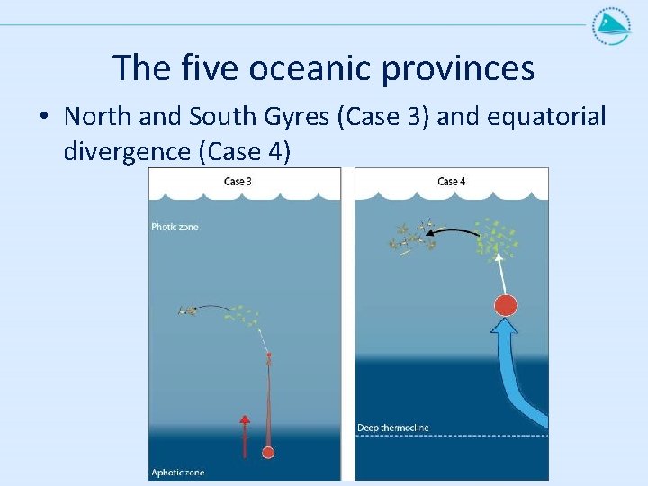 The five oceanic provinces • North and South Gyres (Case 3) and equatorial divergence