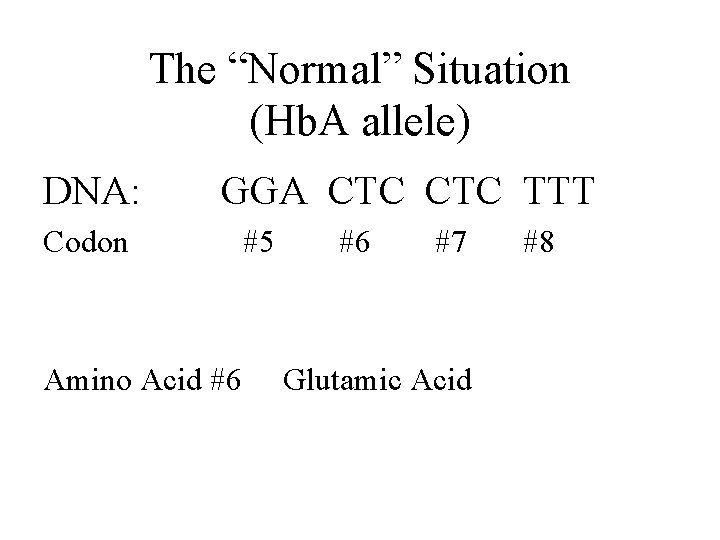 The “Normal” Situation (Hb. A allele) DNA: GGA CTC TTT Codon #5 #6 #7