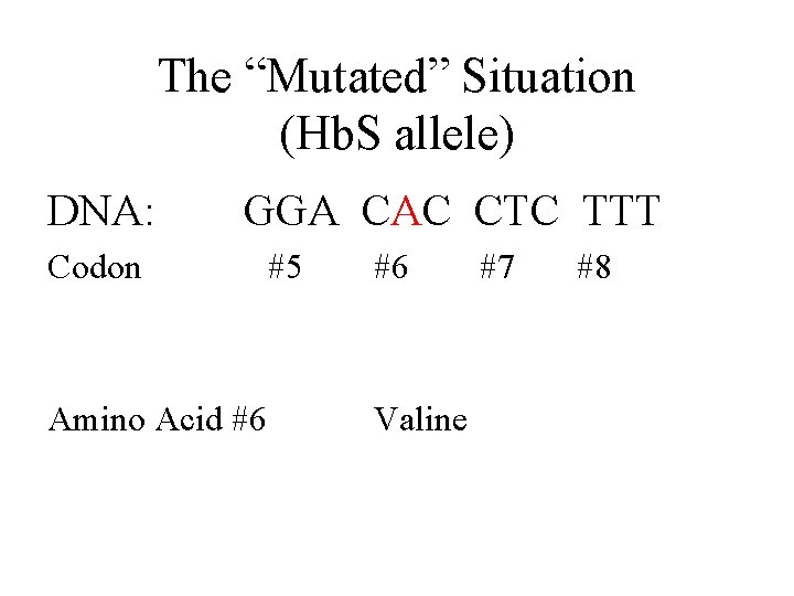 The “Mutated” Situation (Hb. S allele) DNA: GGA CAC CTC TTT Codon #5 #6