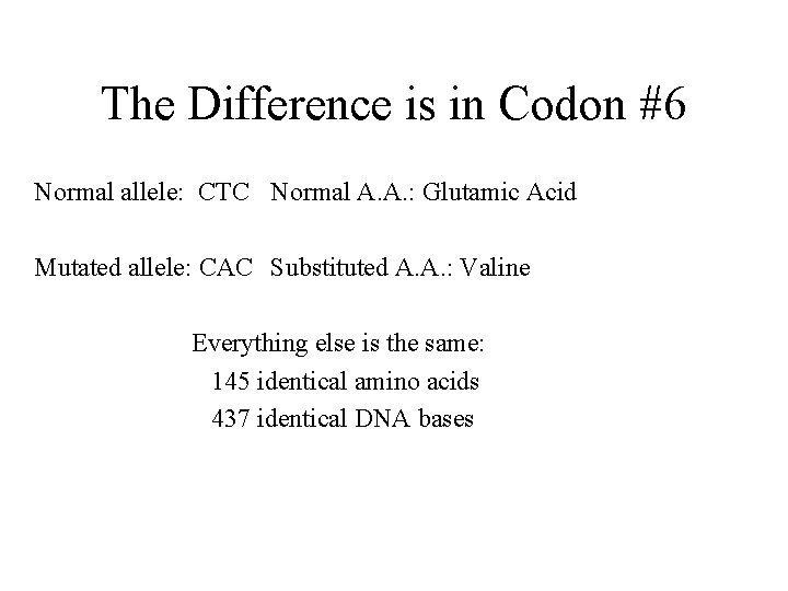 The Difference is in Codon #6 Normal allele: CTC Normal A. A. : Glutamic