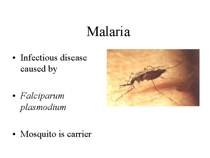  Malaria • Infectious disease caused by • Falciparum plasmodium • Mosquito is carrier