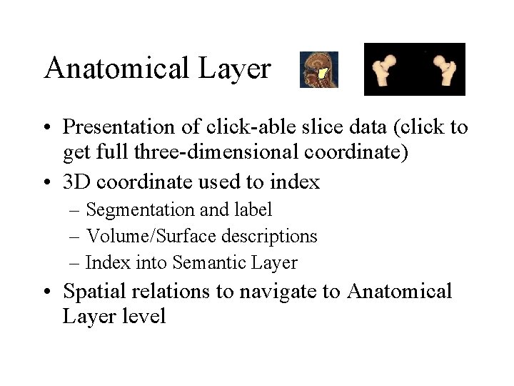 Anatomical Layer • Presentation of click-able slice data (click to get full three-dimensional coordinate)