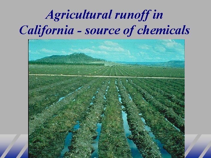 Agricultural runoff in California - source of chemicals 
