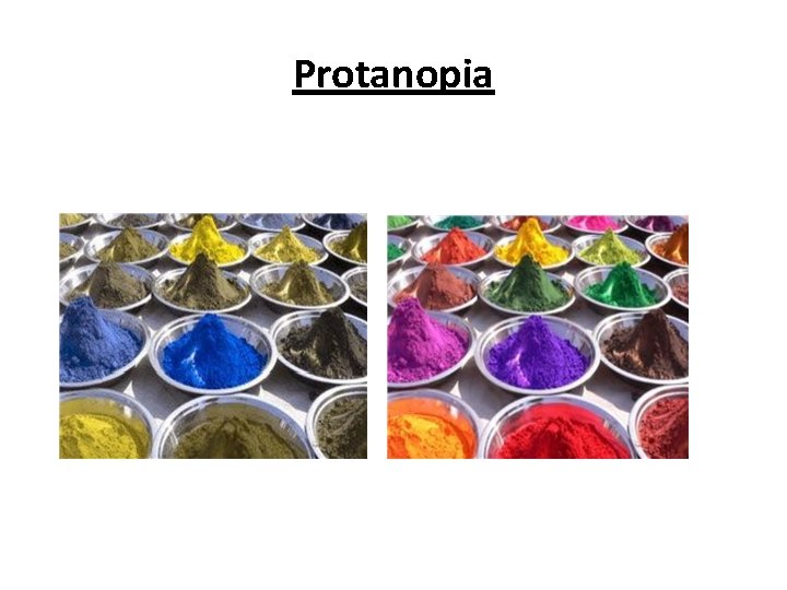 Protanopia 