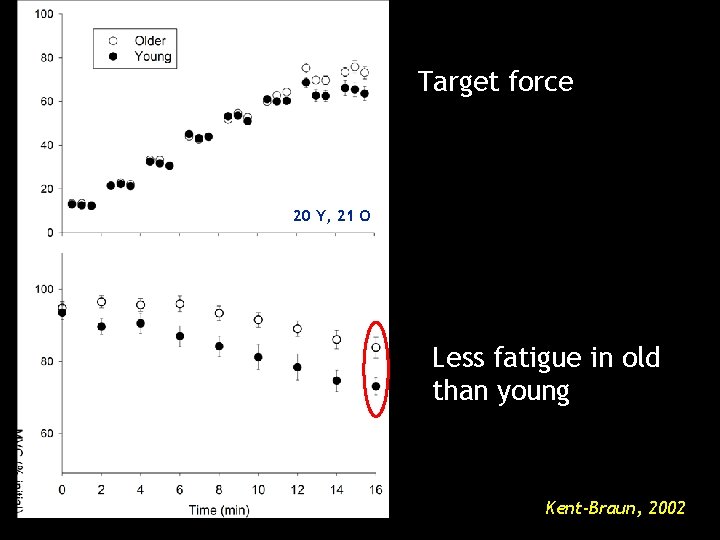 Target force 20 Y, 21 O Less fatigue in old than young Kent-Braun, 2002