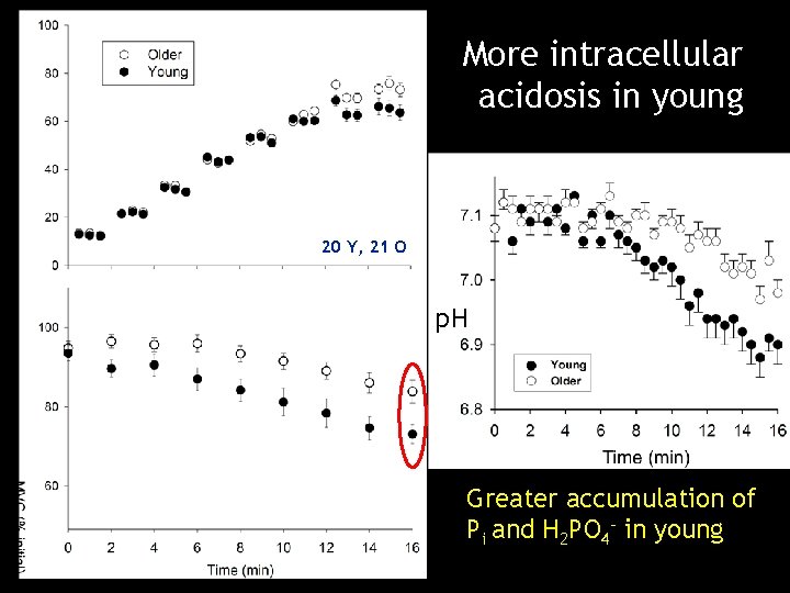 More intracellular acidosis in young 20 Y, 21 O p. H Greater accumulation of