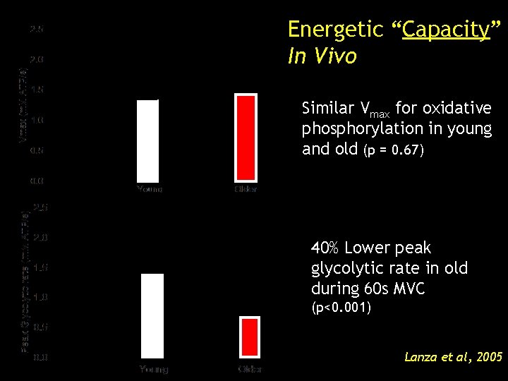 Energetic “Capacity” In Vivo Similar Vmax for oxidative phosphorylation in young and old (p