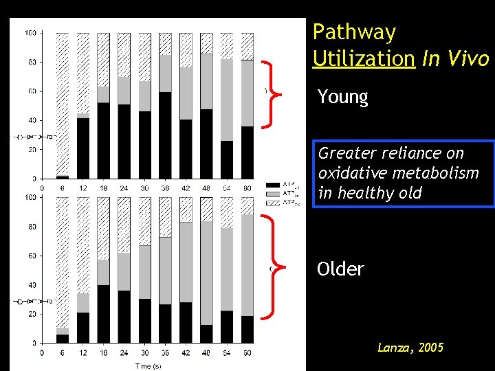 Pathway Utilization In Vivo Young Greater reliance on oxidative metabolism in healthy old Older