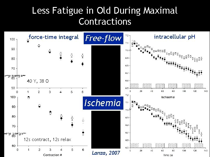 Less Fatigue in Old During Maximal Contractions force-time integral Free-flow 40 Y, 38 O