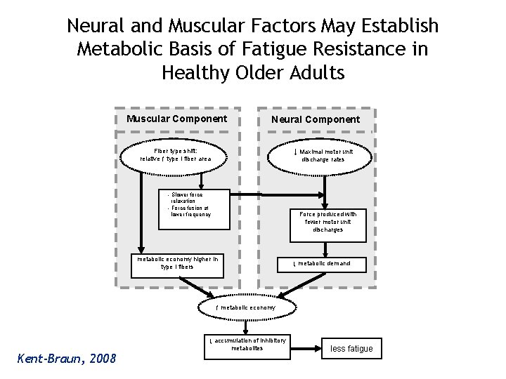 Neural and Muscular Factors May Establish Metabolic Basis of Fatigue Resistance in Healthy Older