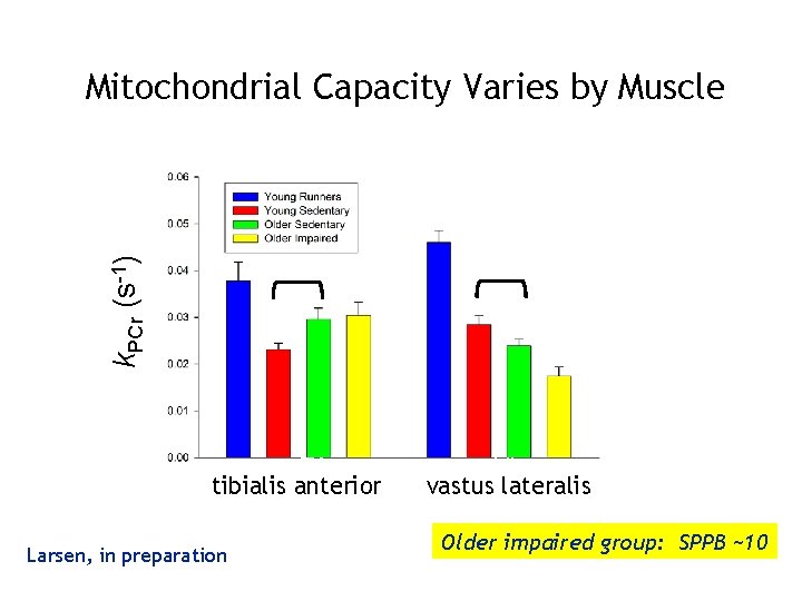 k. PCr (s-1) Mitochondrial Capacity Varies by Muscle TA tibialis anterior Larsen, in preparation