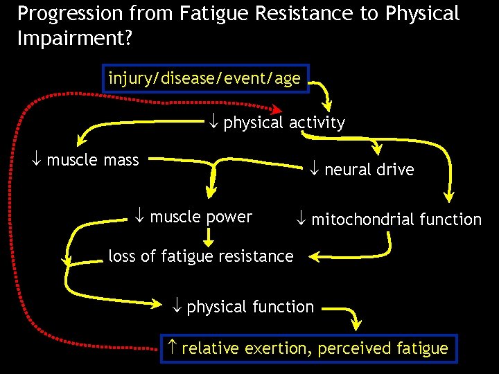 Progression from Fatigue Resistance to Physical Impairment? injury/disease/event/age physical activity muscle mass neural drive