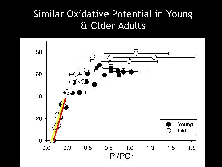 Similar Oxidative Potential in Young & Older Adults 