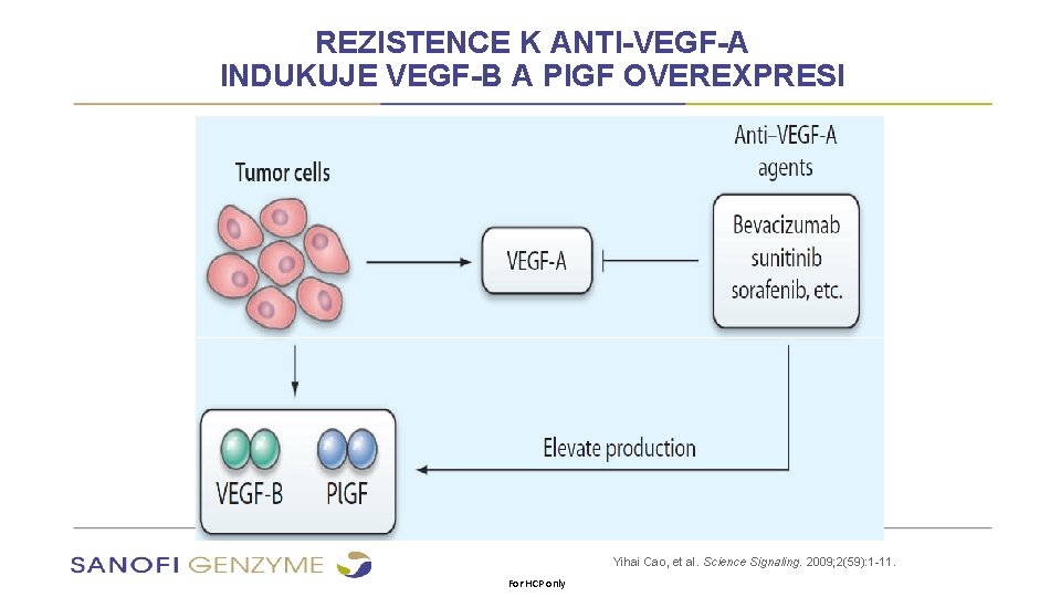 REZISTENCE K ANTI-VEGF-A INDUKUJE VEGF-B A Pl. GF OVEREXPRESI Yihai Cao, et al. Science