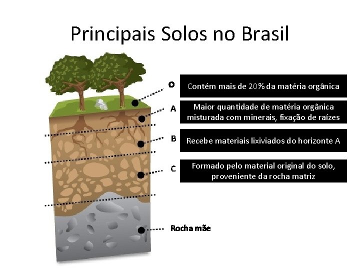 Principais Solos no Brasil O Contém mais de 20% da matéria orgânica A Maior