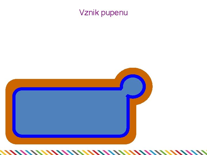Vznik pupenu 