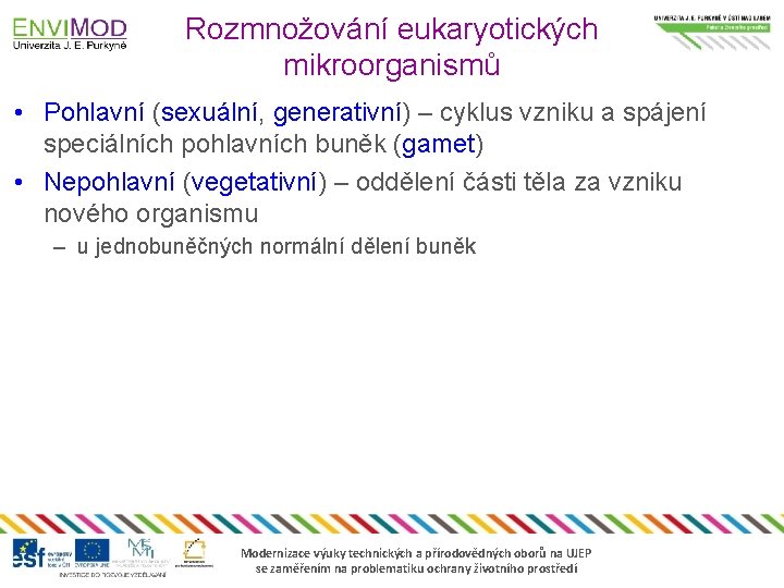 Rozmnožování eukaryotických mikroorganismů • Pohlavní (sexuální, generativní) – cyklus vzniku a spájení speciálních pohlavních