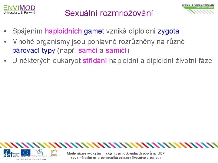 Sexuální rozmnožování • Spájením haploidních gamet vzniká diploidní zygota • Mnohé organismy jsou pohlavně