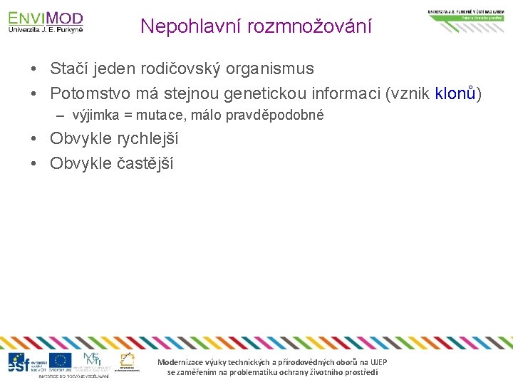 Nepohlavní rozmnožování • Stačí jeden rodičovský organismus • Potomstvo má stejnou genetickou informaci (vznik