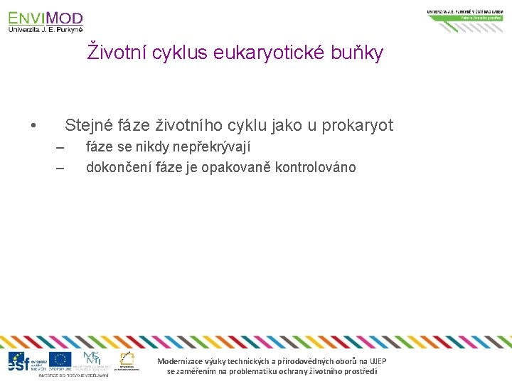 Životní cyklus eukaryotické buňky • Stejné fáze životního cyklu jako u prokaryot – –