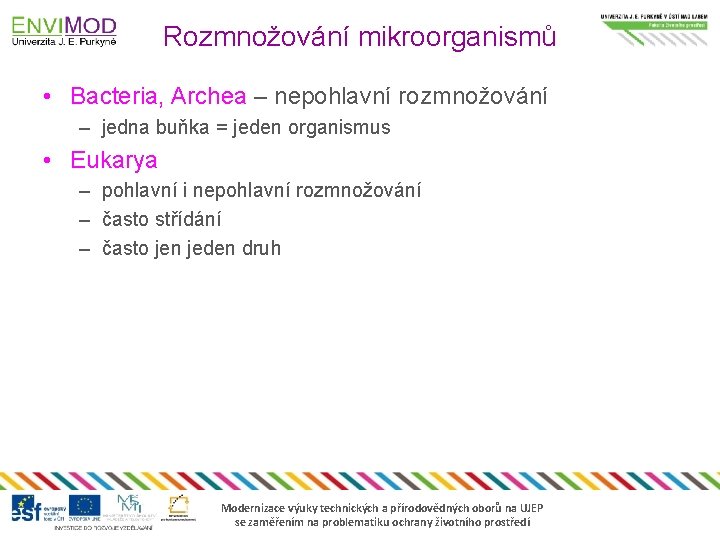 Rozmnožování mikroorganismů • Bacteria, Archea – nepohlavní rozmnožování – jedna buňka = jeden organismus