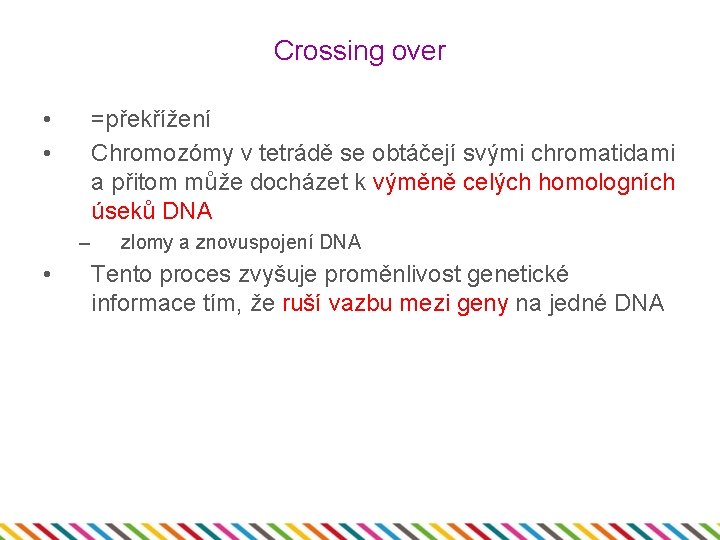 Crossing over • • =překřížení Chromozómy v tetrádě se obtáčejí svými chromatidami a přitom