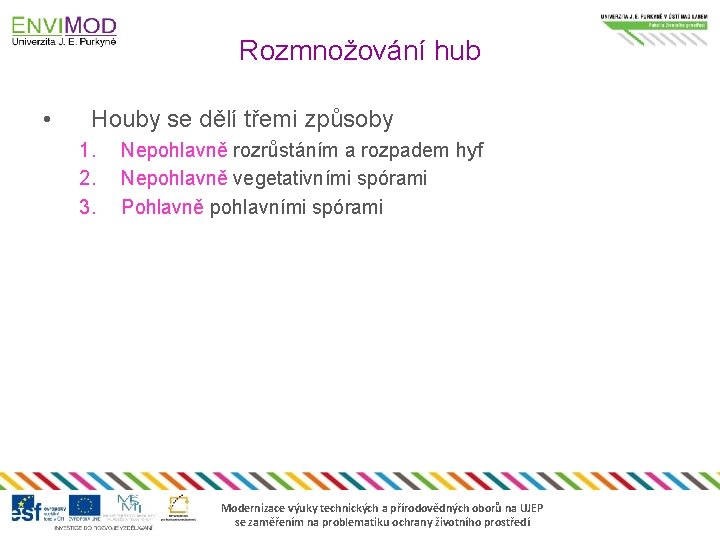 Rozmnožování hub • Houby se dělí třemi způsoby 1. 2. 3. Nepohlavně rozrůstáním a