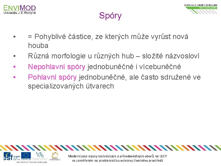 Spóry • • = Pohyblivé částice, ze kterých může vyrůst nová houba Různá morfologie