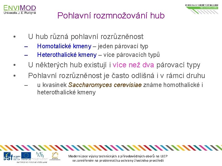 Pohlavní rozmnožování hub • U hub různá pohlavní rozrůzněnost – – • • Homotalické