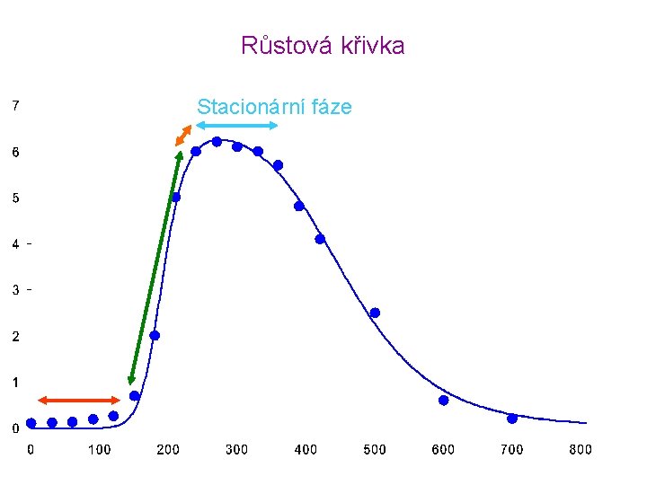 Růstová křivka Stacionární fáze Čas [min] 