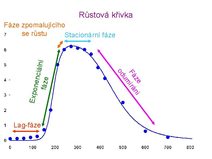 Růstová křivka ze ní Fá írá um od Expon enciál ní fáze Fáze zpomalujícího