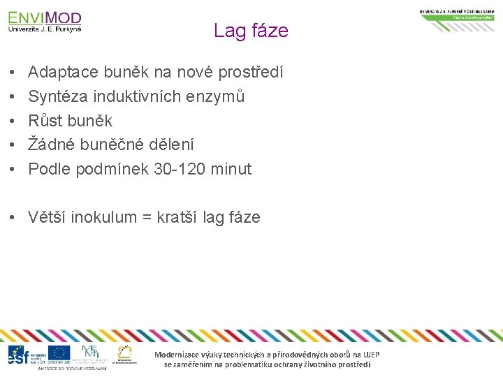 Lag fáze • • • Adaptace buněk na nové prostředí Syntéza induktivních enzymů Růst