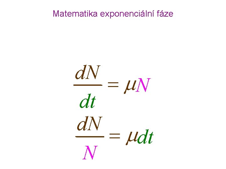 Matematika exponenciální fáze • integrací lze vypočítat množství buněk po určitém času růstu d.