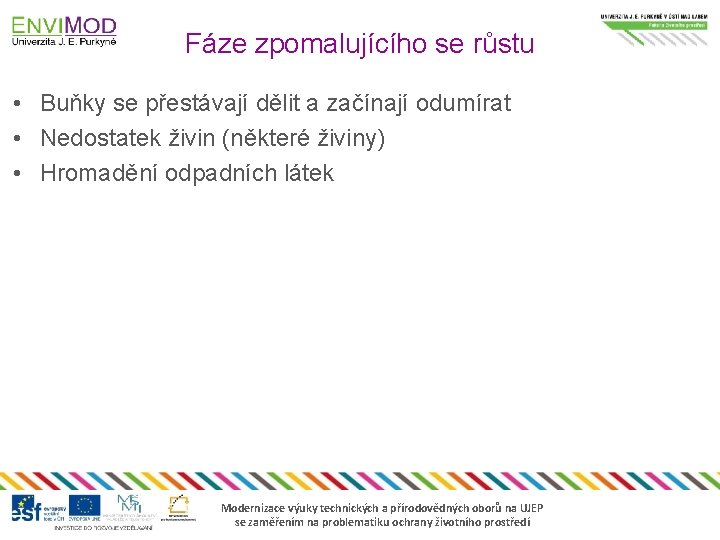 Fáze zpomalujícího se růstu • Buňky se přestávají dělit a začínají odumírat • Nedostatek