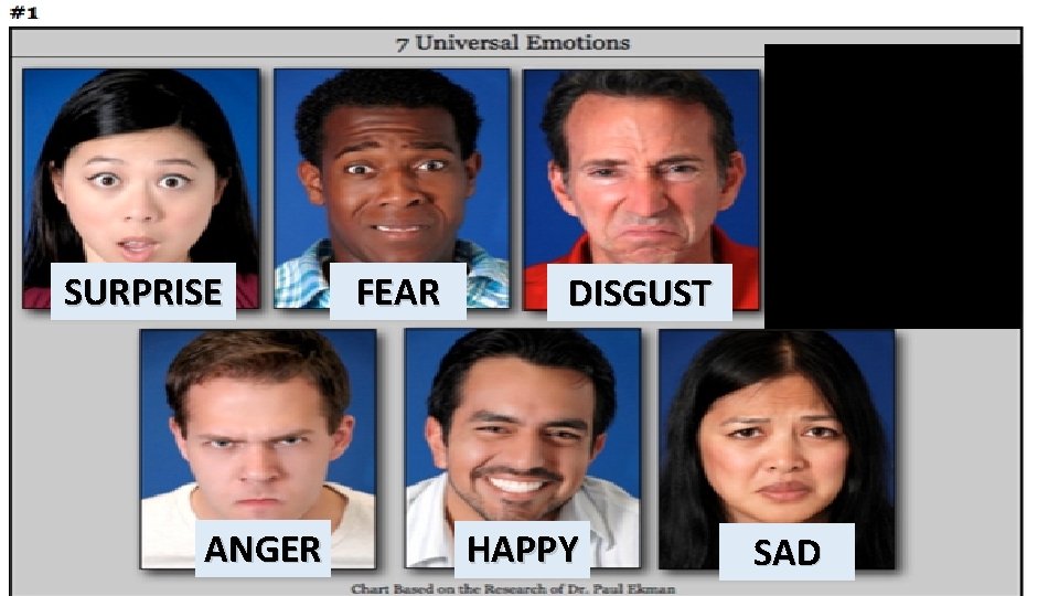 SURPRISE ANGER FEAR DISGUST HAPPY CONTEMPT SAD 