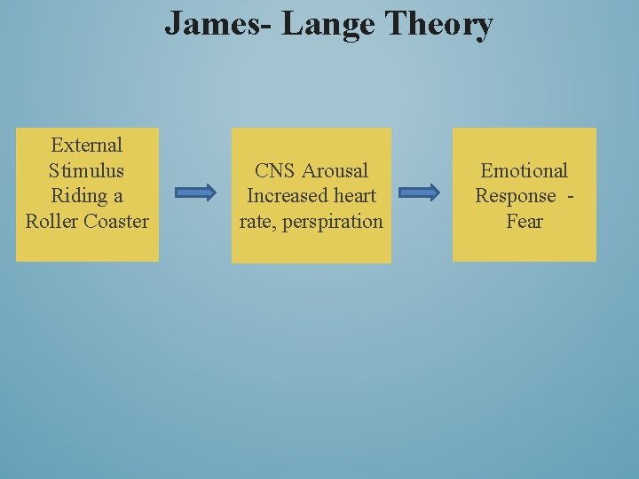 James- Lange Theory External Stimulus Riding a Roller Coaster CNS Arousal Increased heart rate,
