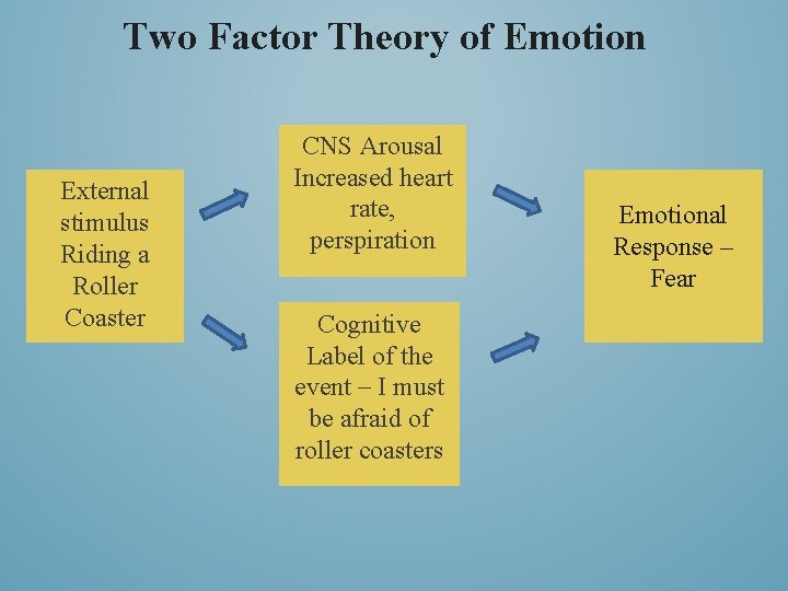 Two Factor Theory of Emotion External stimulus Riding a Roller Coaster CNS Arousal Increased