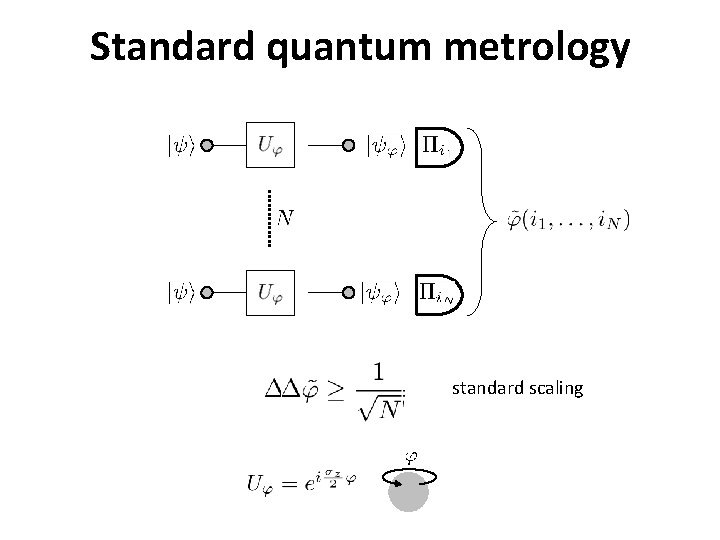 Standard quantum metrology standard scaling 