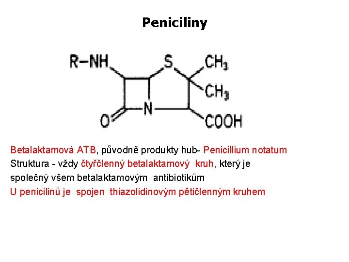 Peniciliny Betalaktamová ATB, původně produkty hub- Penicillium notatum Struktura - vždy čtyřčlenný betalaktamový kruh,