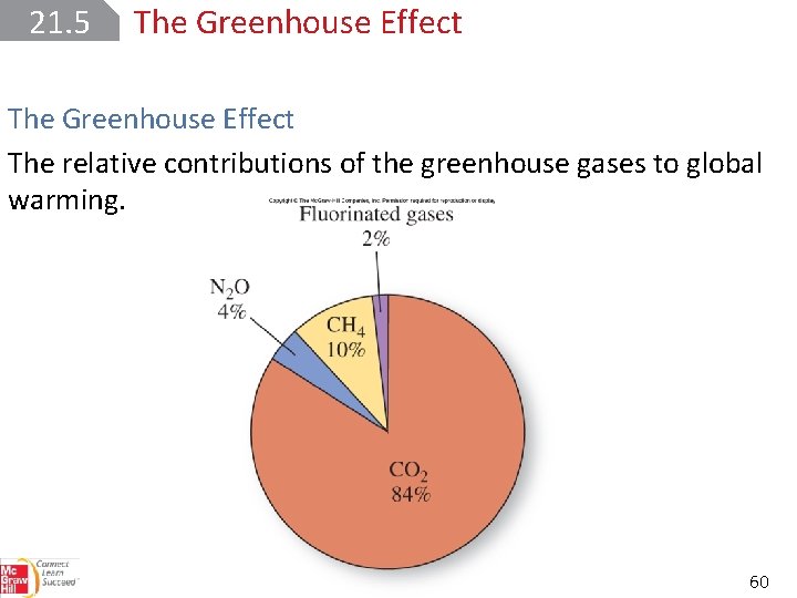 21. 5 The Greenhouse Effect The relative contributions of the greenhouse gases to global