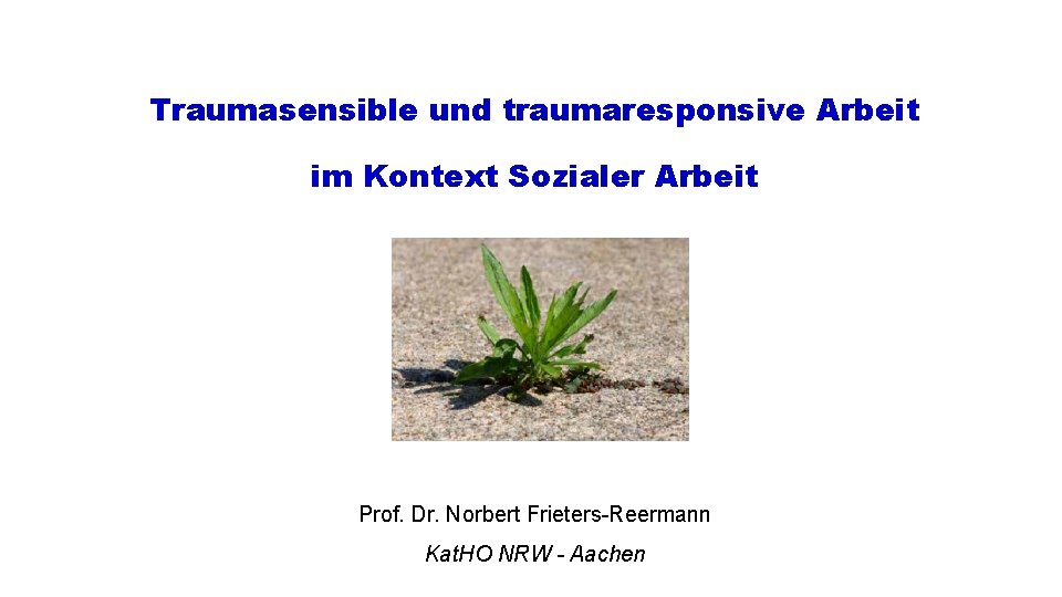 Traumasensible und traumaresponsive Arbeit im Kontext Sozialer Arbeit Prof. Dr. Norbert Frieters-Reermann Kat. HO