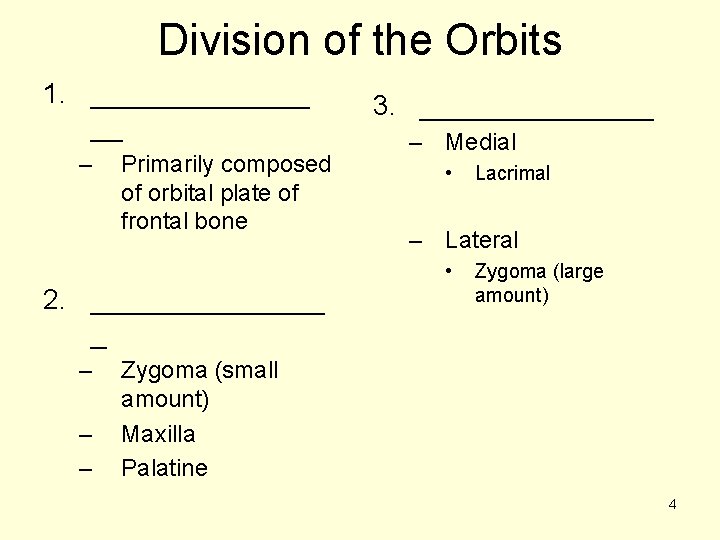 Division of the Orbits 1. _______ __ – Primarily composed of orbital plate of Division of the Orbits 1. _______ __ – Primarily composed of orbital plate of