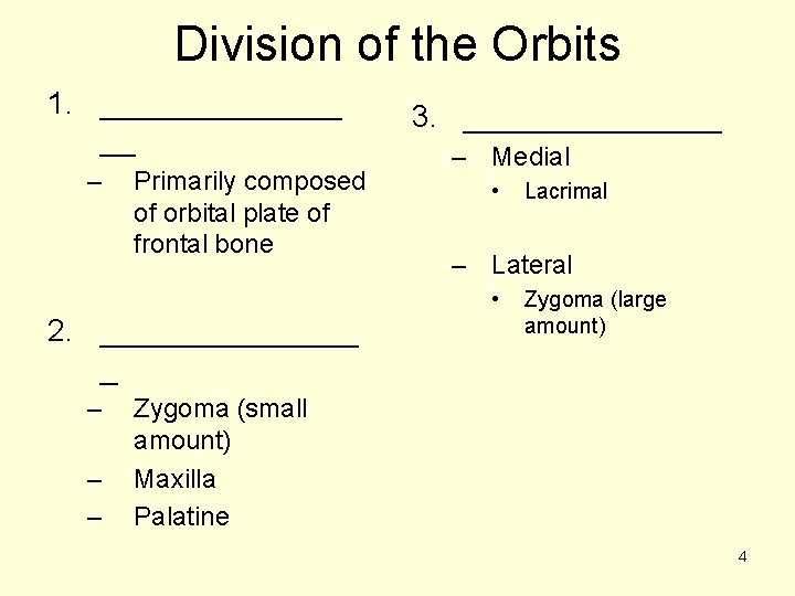 Division of the Orbits 1. _______ __ – Primarily composed of orbital plate of