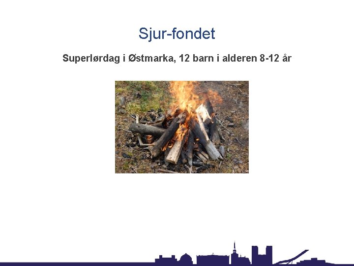 Sjur-fondet Superlørdag i Østmarka, 12 barn i alderen 8 -12 år 