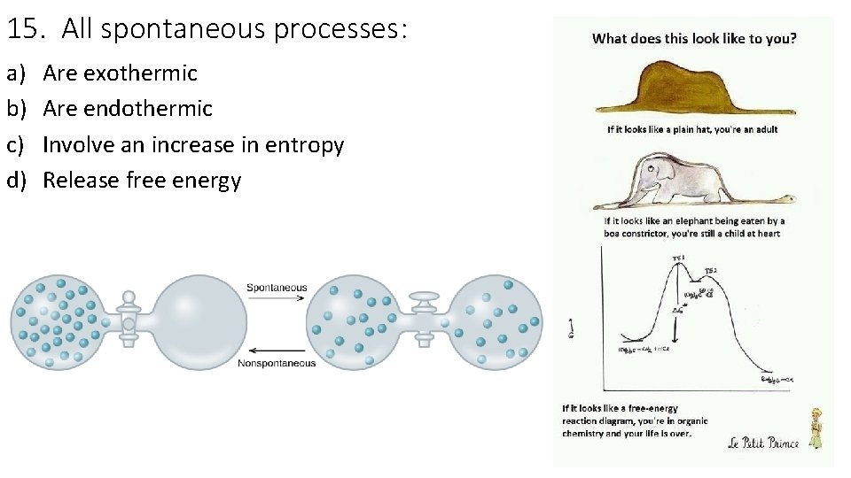 15. All spontaneous processes: a) b) c) d) Are exothermic Are endothermic Involve an