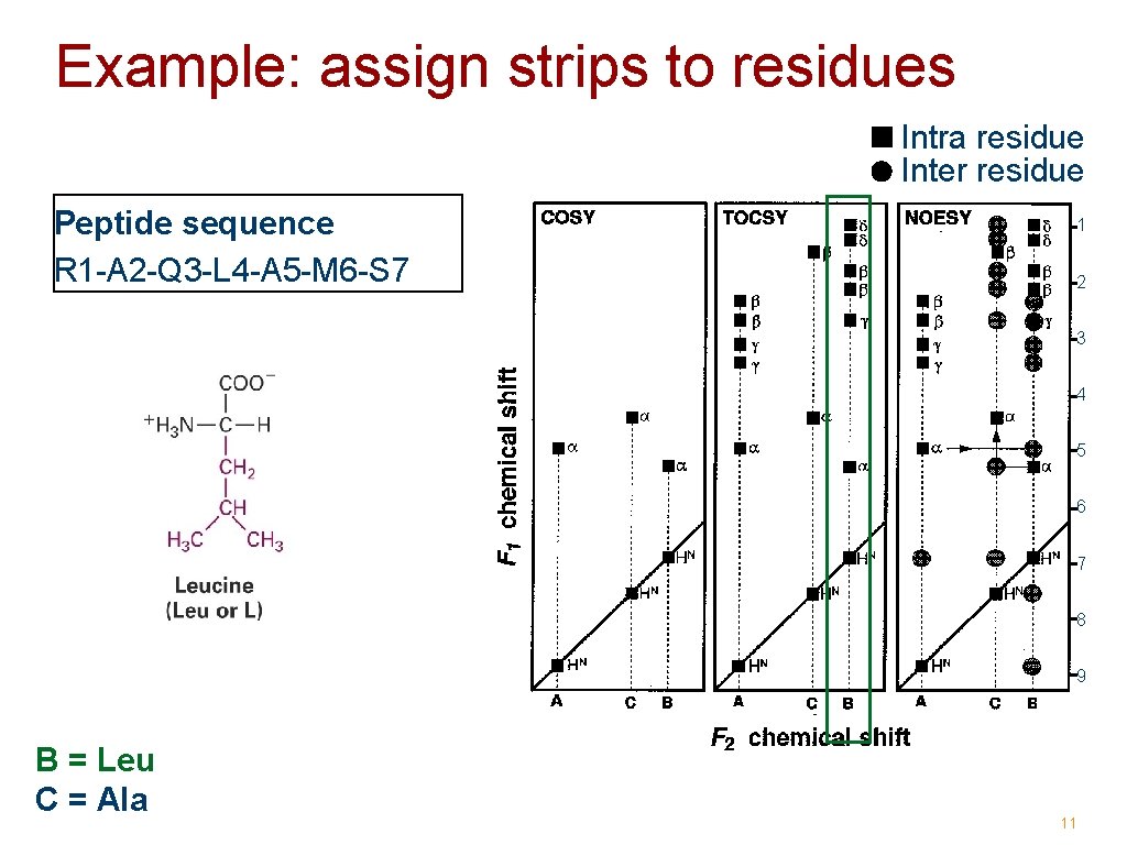 Example: assign strips to residues Intra residue Inter residue Peptide sequence R 1 -A