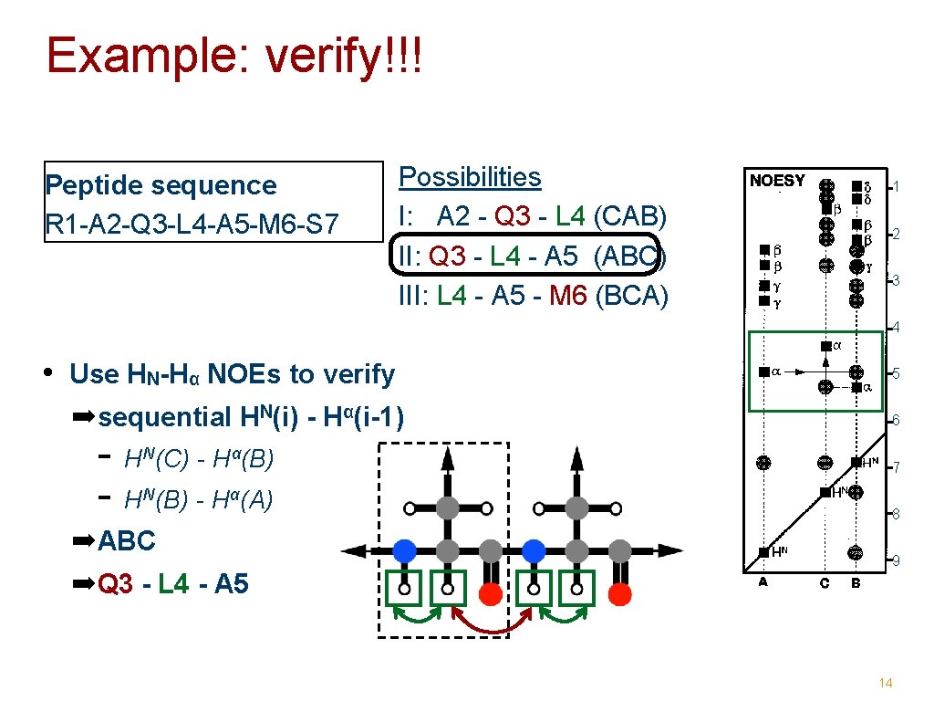 Example: verify!!! Peptide sequence R 1 -A 2 -Q 3 -L 4 -A 5