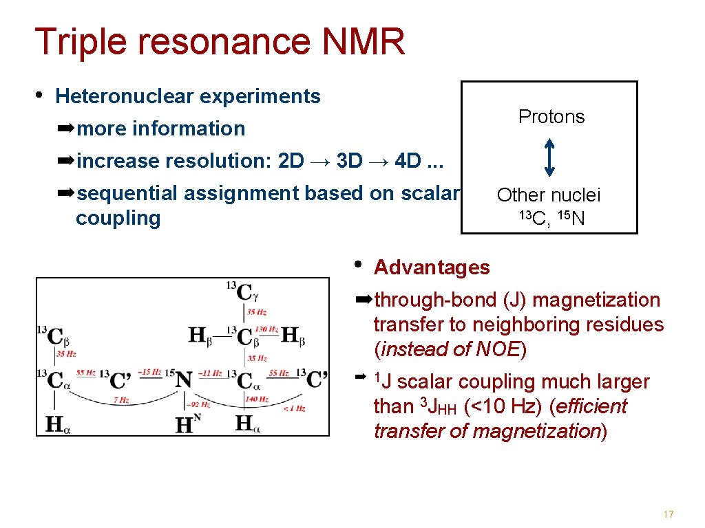 Triple resonance NMR • Heteronuclear experiments Protons ➡more information ➡increase resolution: 2 D →